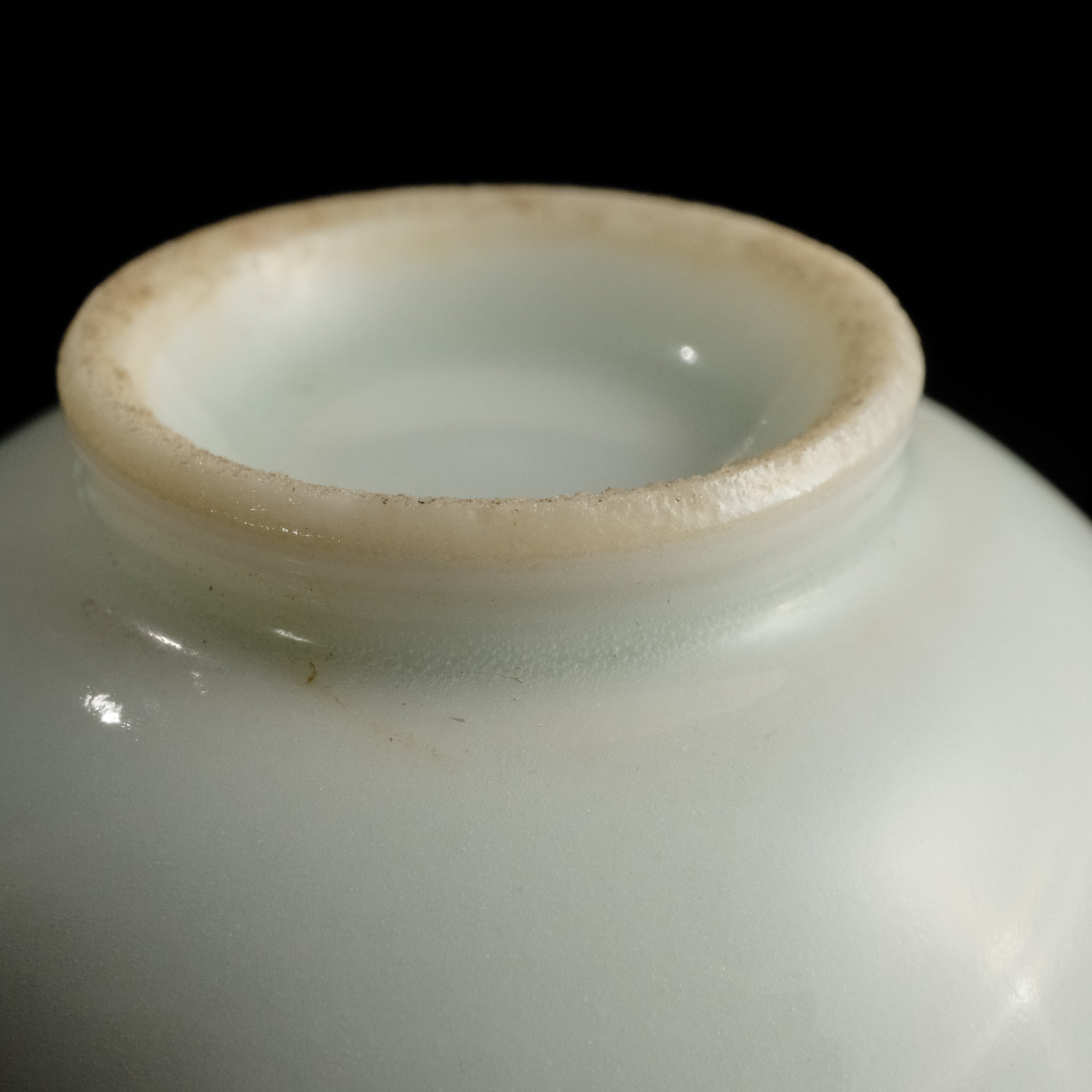 徳化白磁煎茶碗 – 周信堂 Syuusindou